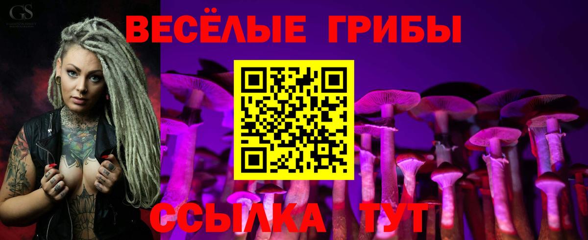 Галлюциногенные грибы GOLDEN TEACHER  Вход с VPN  Коломна 